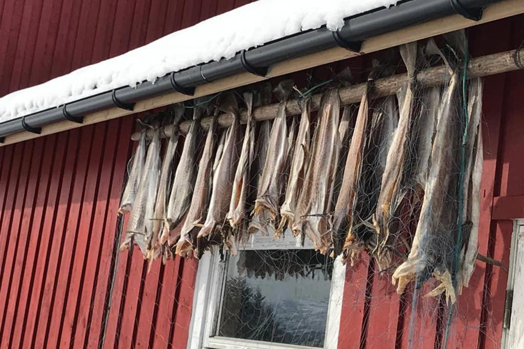 Nordlandshus Ved Lofotr Vila Bostad Exterior foto
